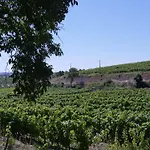 Quinta Do Salgueiro - 4* Freixo de Espada à Cinta