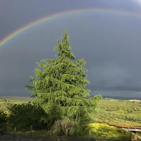 Quinta Do Salgueiro - B&B 4*