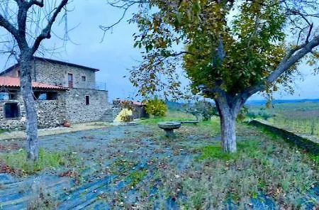 Quinta Do Salgueiro - Bed & Breakfast 3*
