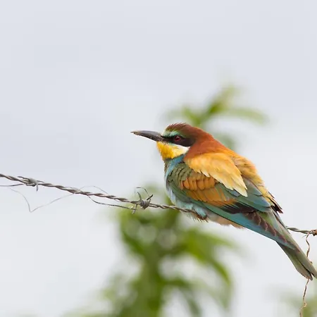 Quinta Do Salgueiro - 4* 프라익소데에스파다아신타