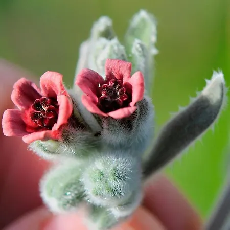 Quinta Do Salgueiro - B&B