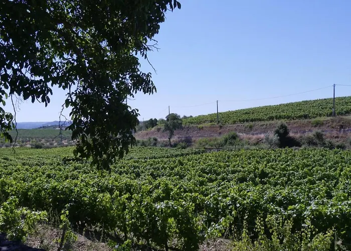 Quinta Do Salgueiro - 4* Freixo de Espada à Cinta