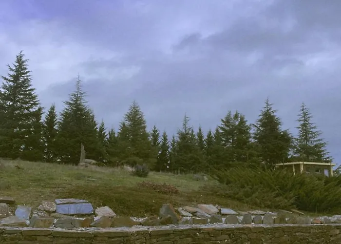 Quinta Do Salgueiro - Nocleg ze śniadaniem Freixo de Espada à Cinta