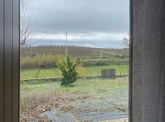 Nocleg ze śniadaniem Quinta Do Salgueiro - 4*