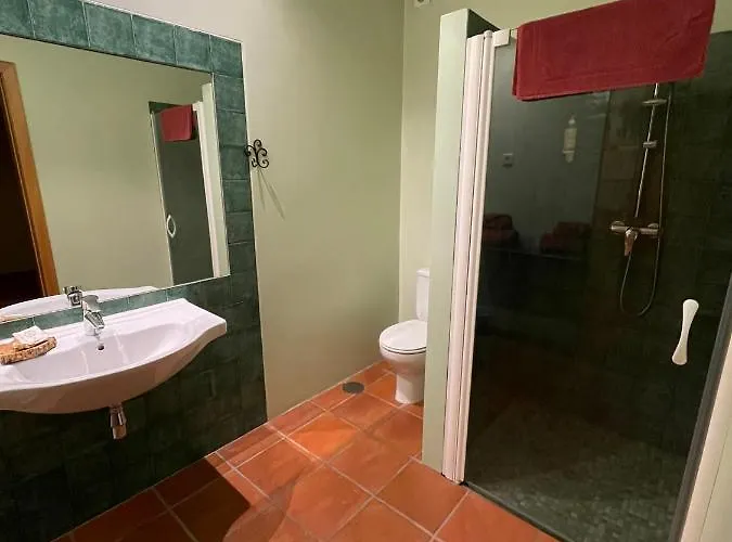 Nocleg ze śniadaniem Quinta Do Salgueiro -