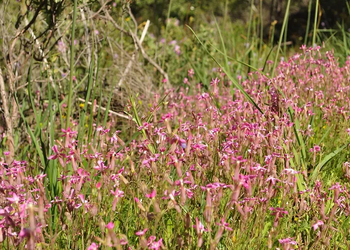 Nocleg ze śniadaniem Quinta Do Salgueiro - 4*
