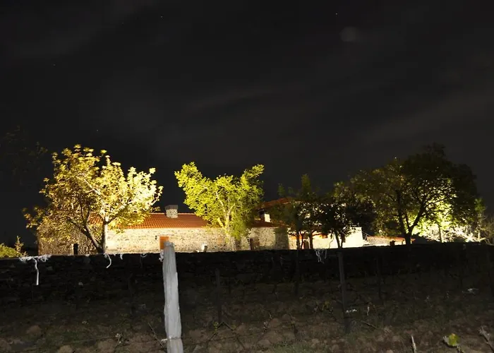 Quinta Do Salgueiro - 4* Freixo de Espada à Cinta