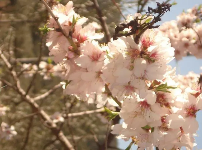 Quinta Do Salgueiro - 4* Freixo de Espada à Cinta